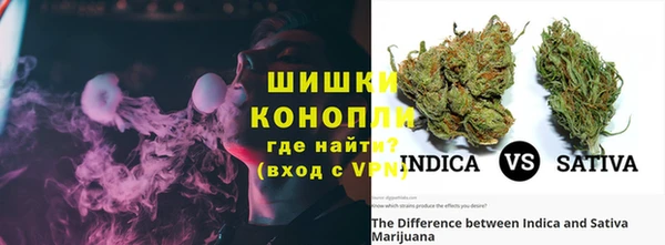 кокс Белокуриха