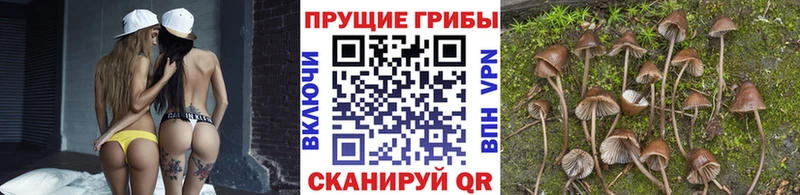 Псилоцибиновые грибы Psilocybine cubensis  кракен tor  Ялуторовск 