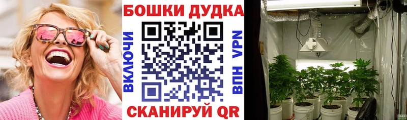 Конопля план  наркошоп  Ялуторовск 